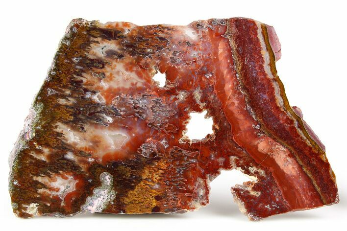 Polished Sicat Plume Agate Slab - Cady Mountains, California #184952